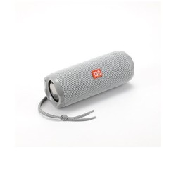 T&G SPEAKER PORTABLE TG-191 AUX/USB/MEMORY CARD SILVER T&G SPEAKER PORTABLE TG-191 AUX/USB/MEMORY CARD SILVER